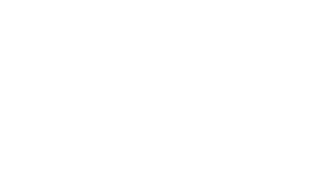 logo zis white