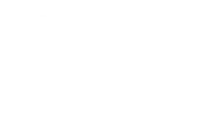 logo zis white